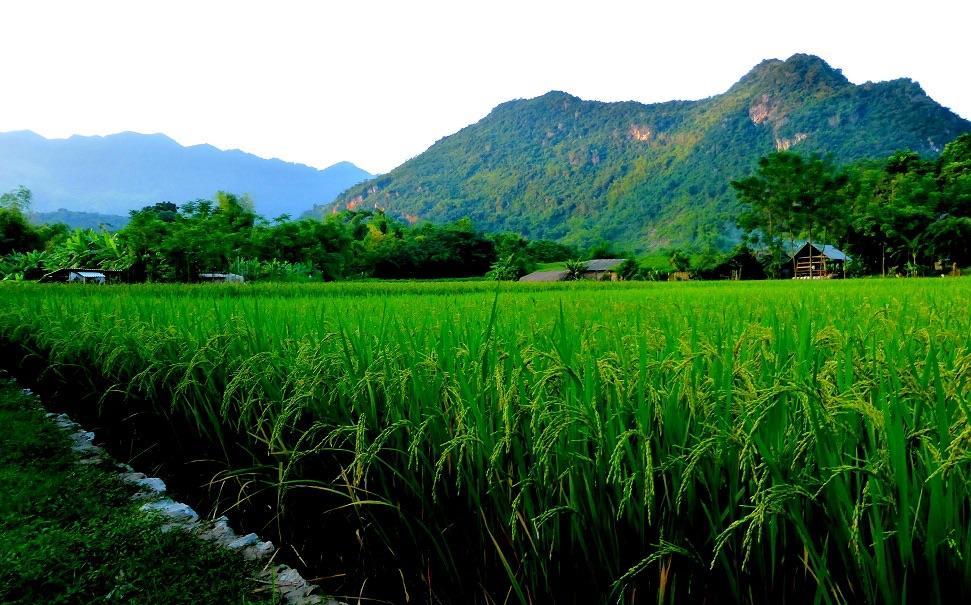 Mai Chau Sunset Boutique Hotel Экстерьер фото